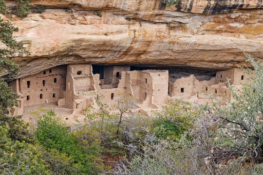 Mesa Verde Spuce Tree House 01
