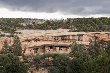 Mesa Verde Spruce Tree House 03
