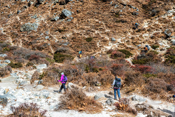 rekkers on the trail to Everest Base Camp in Nepal.