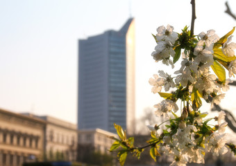 The most beautiful city in East Germany