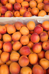 ripe apricots in the market	