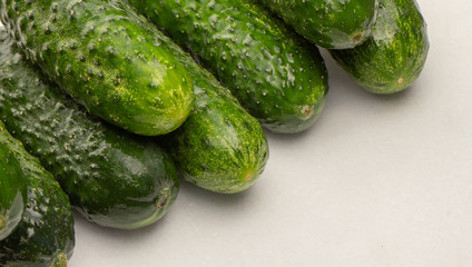 Beautiful young cucumbers on a white background