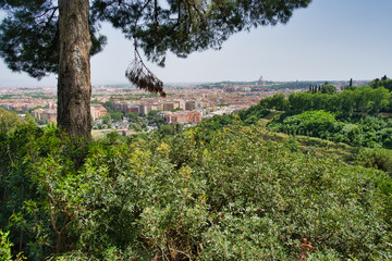 Fototapeta na wymiar Rome scenic view from mountain, Italy