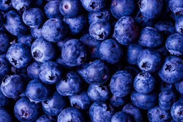 COLORFUL BLUEBERRY FLAT LAY VIEW
