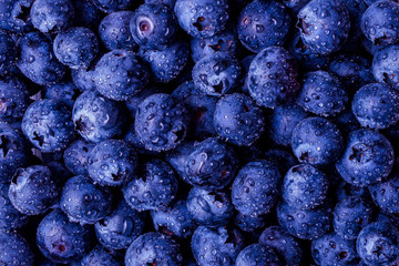 COLORFUL BLUEBERRY IN THE WATER DROPS FLAT LAY VIEW
