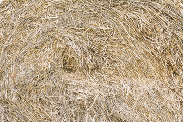 hay background