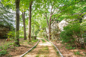 Home and Garden Landscaping