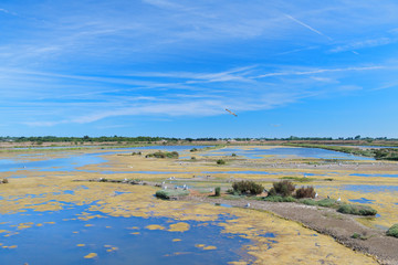 bird sanctuary on Island Ile de Re