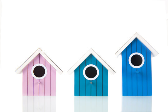 Colorful bird boxes