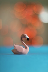 Pink flamingo and bokehs