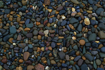 wet pebbles on the beach - abstract texture