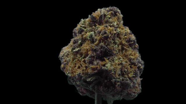 Cannabis, 4G, Strain, Bud, rotate