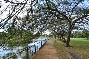 A beautiful view of Brasilia Zoo in the city.