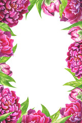 watercolor peonies on a white vertical background greeting card