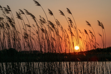 coucher de soleil