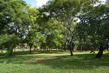 A beautiful view of Brasilia Zoo in the city.