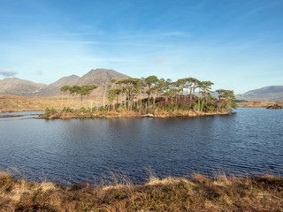 Derryclare Lough, Connemara national park, county Galway, Ireland, Trees grow on small island, Blue cloudy sky.