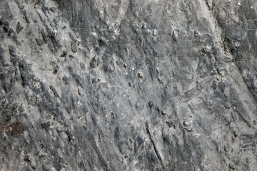 background texture of gray stone