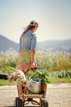 Woman pulling small wagon as cat jumps off