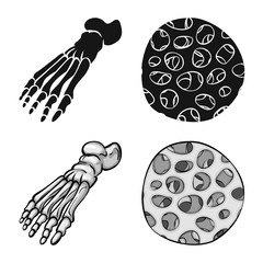 Vector illustration of medicine and clinic icon. Collection of medicine and medical stock symbol for web.