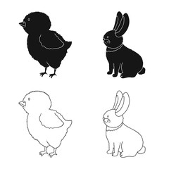 Vector illustration of breeding and kitchen  sign. Collection of breeding and organic  vector icon for stock.