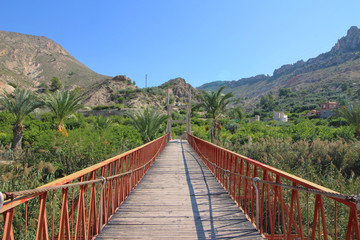 Fototapeta premium Paseo Río Segura en Ojós, Murcia, España