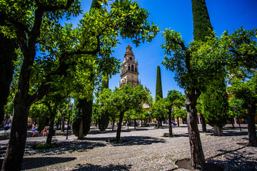 Obraz premium Andalusia