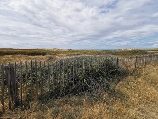 Fototapeta premium fence in the field