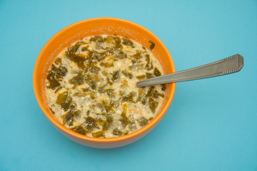 Chicken soup,salad soup traditional in Romania