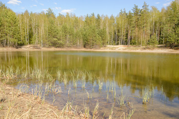 Fototapeta premium lake in the forest
