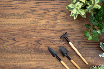 Gardening tools and plants in pots on wooden table with copy space