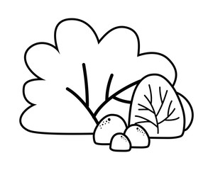 Isolated leaf design vector illustrator