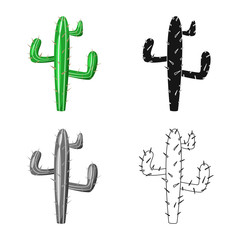 Obraz premium Isolated object of cactus and plant logo. Collection of cactus and growth stock vector illustration.