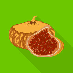 Vector illustration of figs and dry logo. Collection of figs and diet   stock symbol for web.