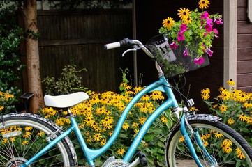 Fototapeta na wymiar bike with flowers