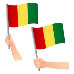 Guinea flag in hand icon