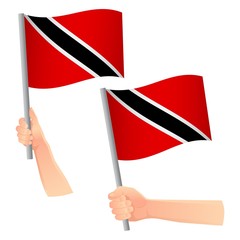 Trinidad and Tobago flag in hand icon