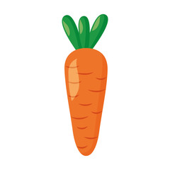 carrot vegetable fresh