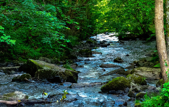 Cance / Cancon river - Le Neufbourg, Normandy, France