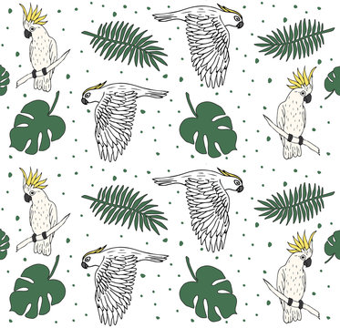 Vector seamless pattern of hand drawn doodle sketch cockatoo parrot and palm leaves isolated on white background 