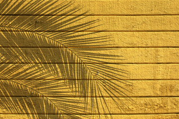 Abstract background image of yellow painted wooden building exterior surface with palm tree shadow