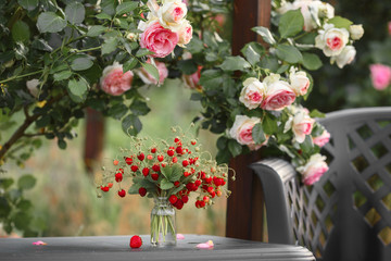 A beautiful garden with blooming roses, tasty wild strawberries and a chair.