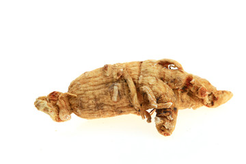 Ginseng on a white background