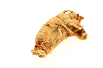 Ginseng on a white background