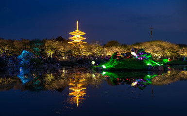 Fototapeta na wymiar The nightscape at Wuhan East Lake Sakura Garden.
