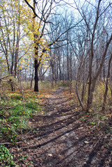 Meadowlilly Conservation Area