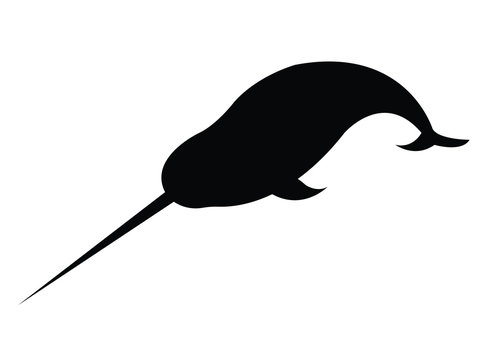 recommend clip art: Vector black silhouette of narwhal swimming isolated on white background