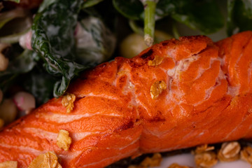 Grilled salmon salmon with salad