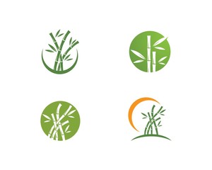 Bamboo with green leaf logo vector