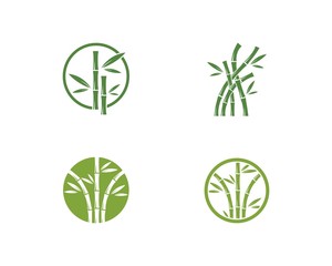 Bamboo with green leaf logo vector